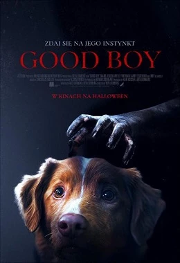 Good Boy.
